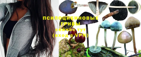 дурь Богданович
