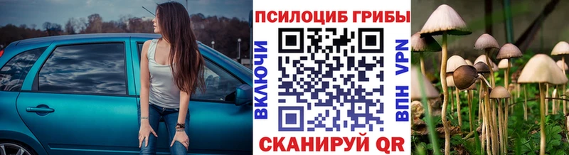 где найти Гусев Псилоцибиновые грибы Magic Shrooms
